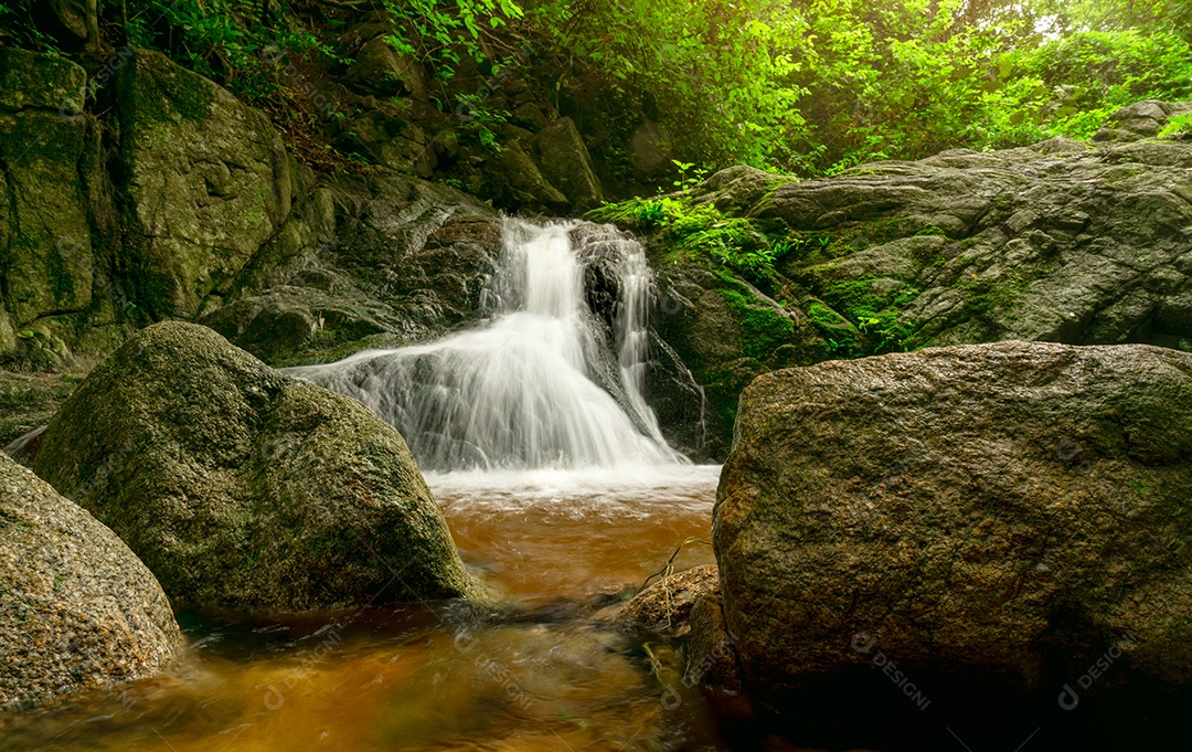 Bela cachoeira na selva. Cachoeira na floresta tropical