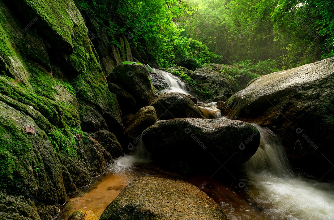 Bela cachoeira na selva. Cachoeira na floresta tropical