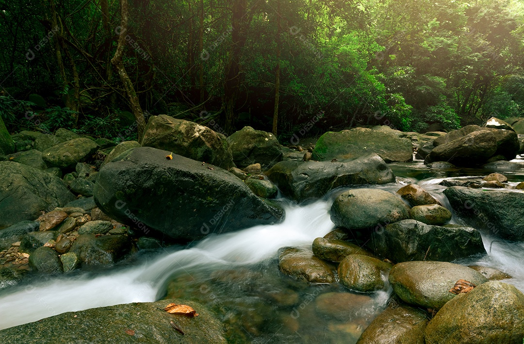 Bela cachoeira na selva. Cachoeira na floresta tropical