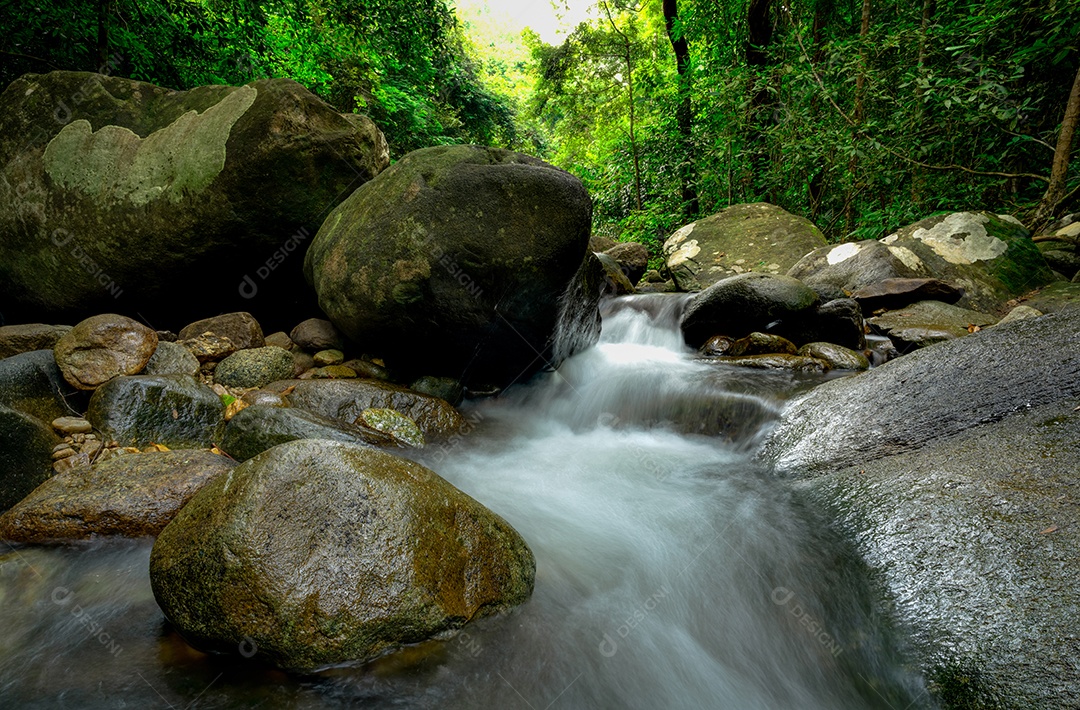 Rocha ou pedra na cachoeira. Bela cachoeira na selva.