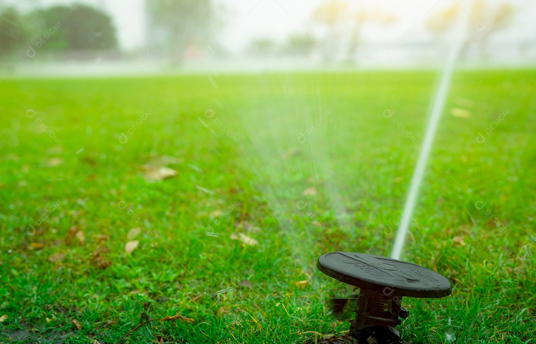 Aspersor de gramado automático regando grama verde.