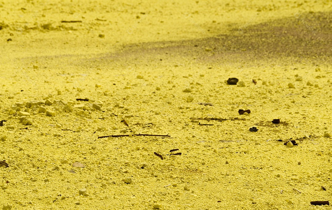 Pó de enxofre no chão. Resíduos tóxicos da indústria. pó amarelo