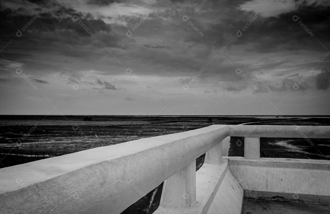 Cena preto e branco da praia de lama na maré com céu cinza