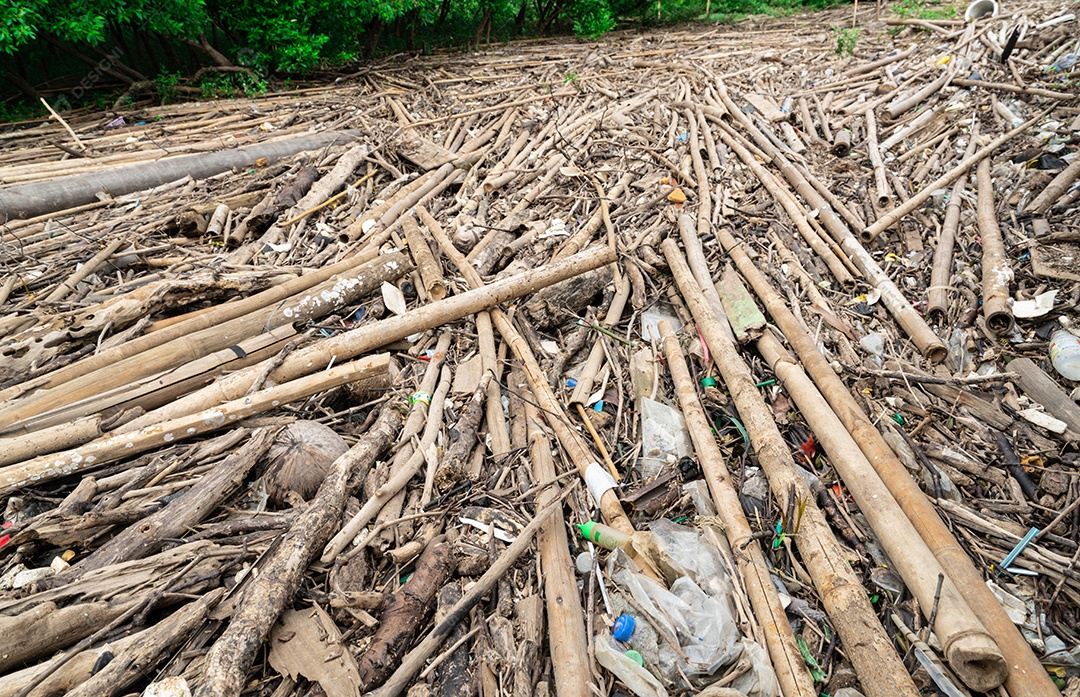 Bambu seco e saco plástico na floresta de mangue