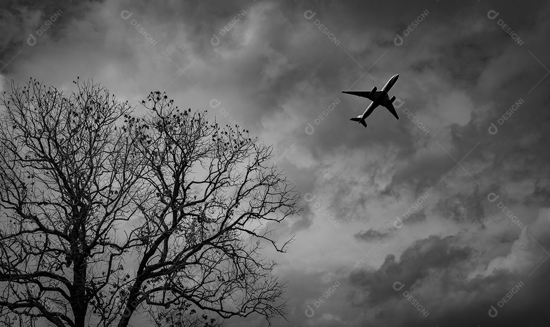 Mostre em silhueta o avião comercial no céu cinzento e nuvens com morte