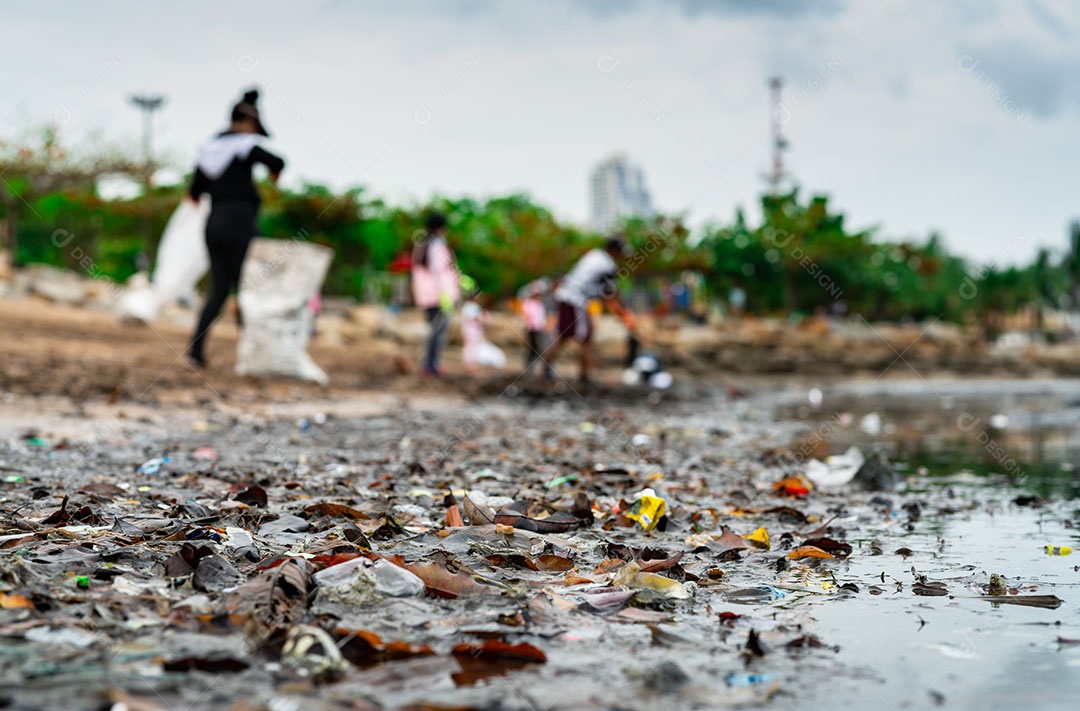 Borrado de voluntários coletando lixo. Sondagem de ambiente de praia