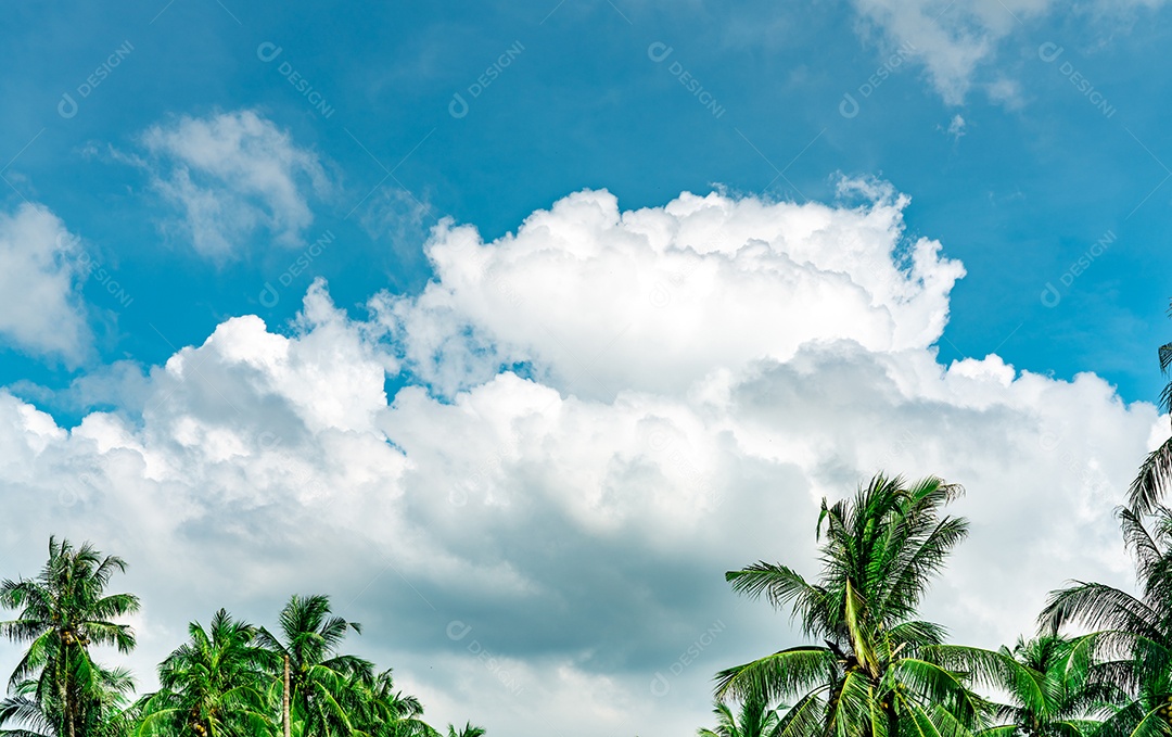 Lindo céu azul e nuvens cumulus brancas contra coqueiro