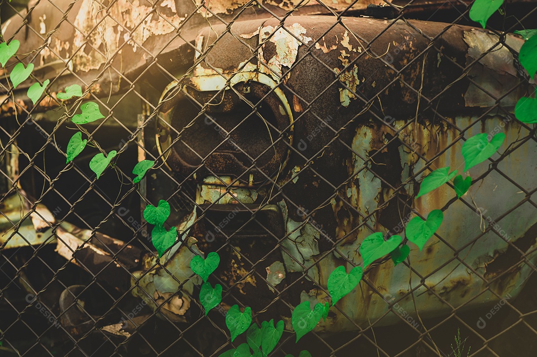 Velhos caminhões destruídos na cena preto e branco.