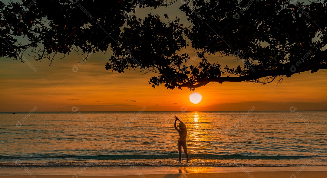 Vista traseira da silhueta de uma mulher sexy assistindo o belo pôr do sol