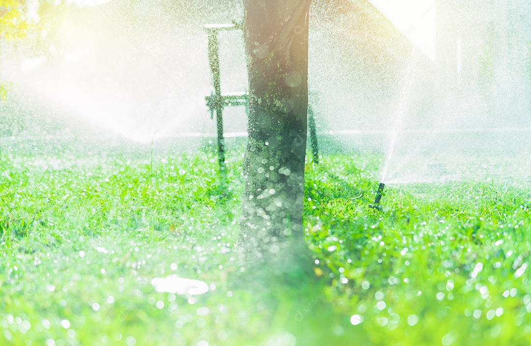 Aspersor de gramado regando grama verde. Aspersor com sistema automático