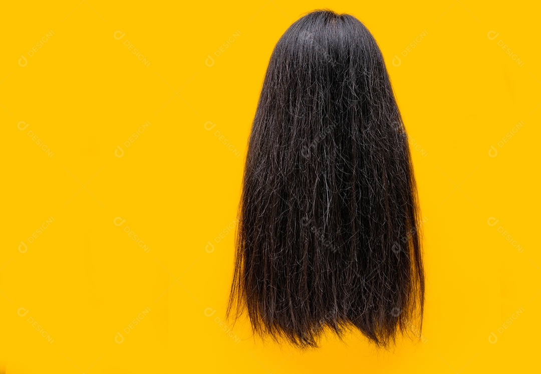 Cabelo danificado isolado em fundo amarelo. Cabelos secos e quebradiços