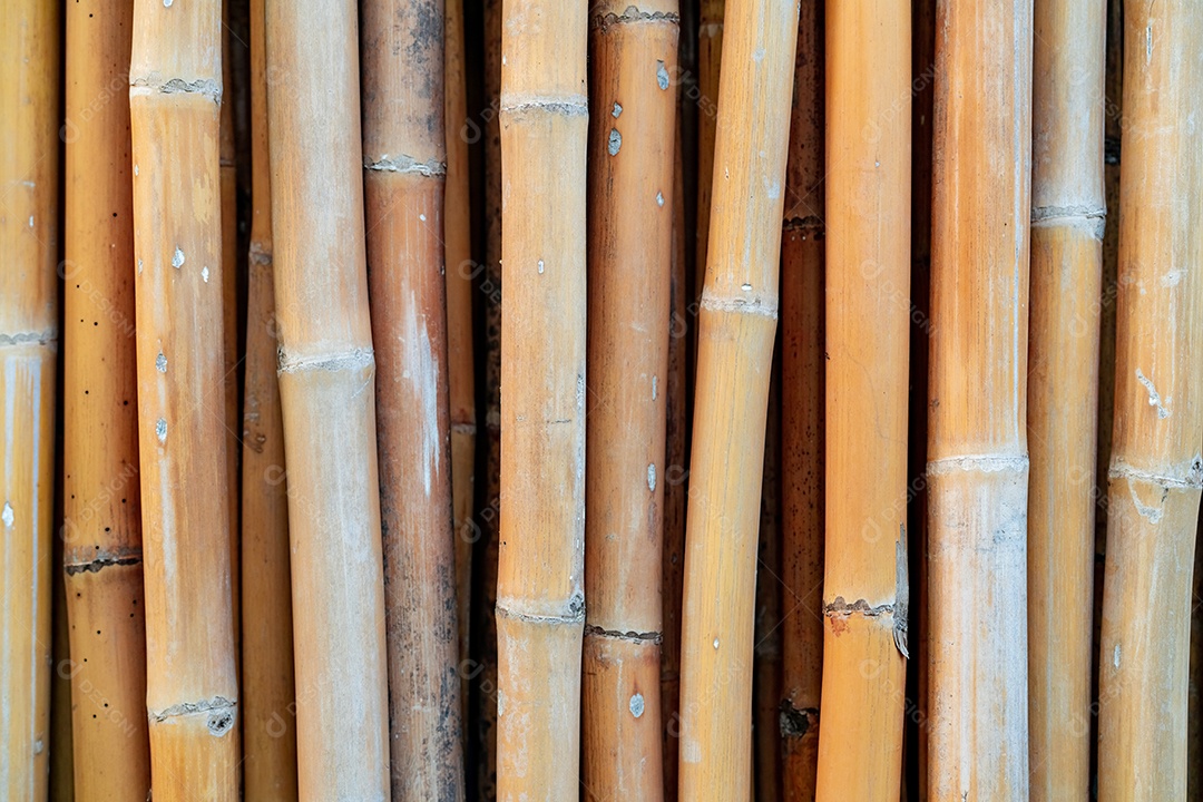 Fundo de textura de pólo de bambu secado closeup. Fundo ecológico