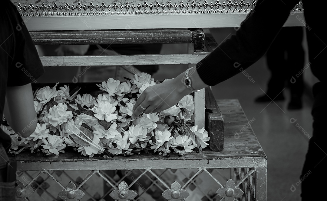 Funeral na Tailândia. As pessoas colocam flor de sândalo