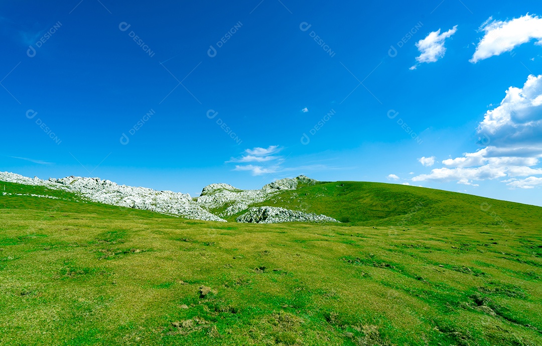 Paisagem de grama verde e colina rochosa na primavera com belas