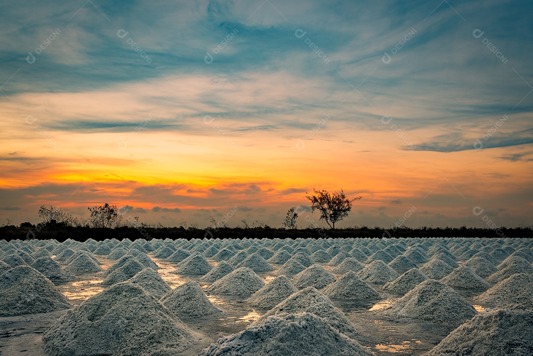 Fazenda de sal pela manhã com o céu do nascer do sol. Sal marinho orgânico.