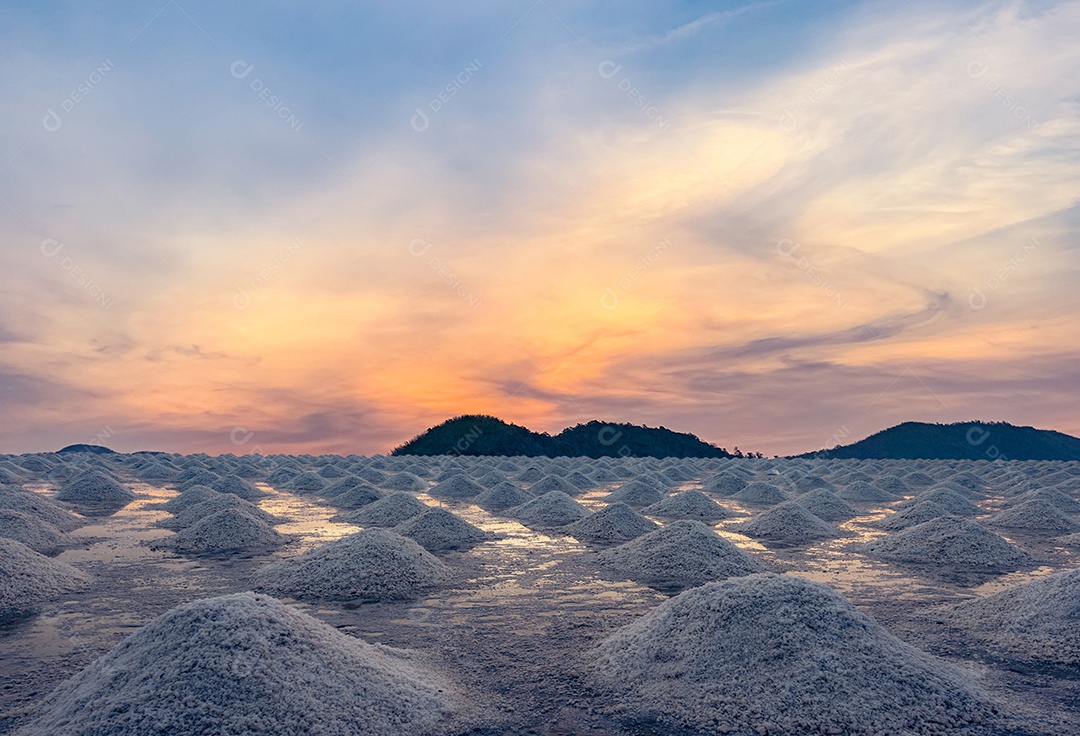 Fazenda de sal pela manhã com o céu do nascer do sol. Sal marinho orgânico.