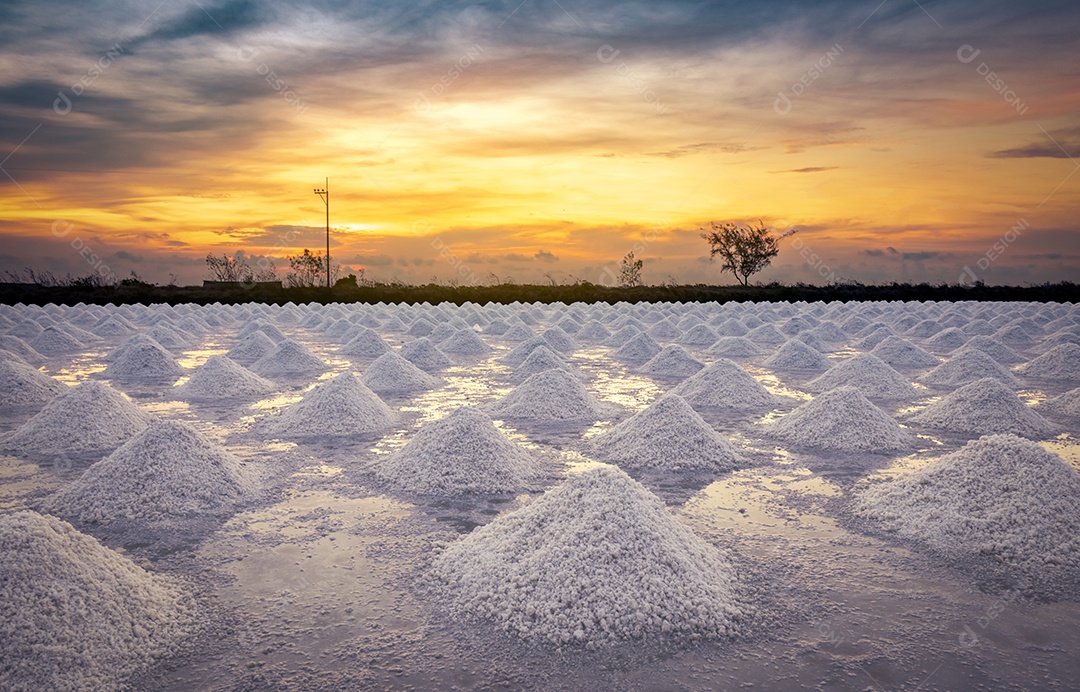 Fazenda de sal pela manhã com o céu do nascer do sol. Sal marinho orgânico.