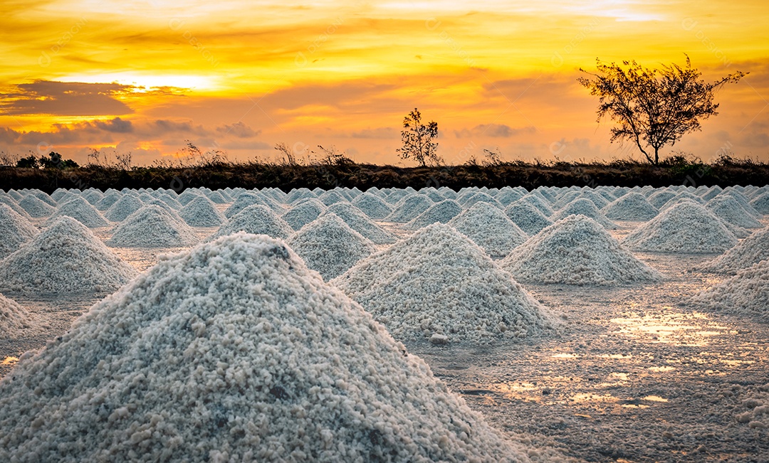 Fazenda de sal pela manhã com o céu do nascer do sol. Sal marinho orgânico.