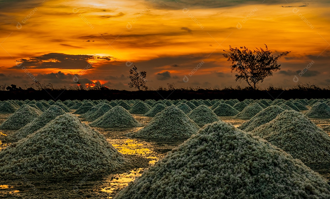Fazenda de sal pela manhã com o céu do nascer do sol. Sal marinho orgânico.
