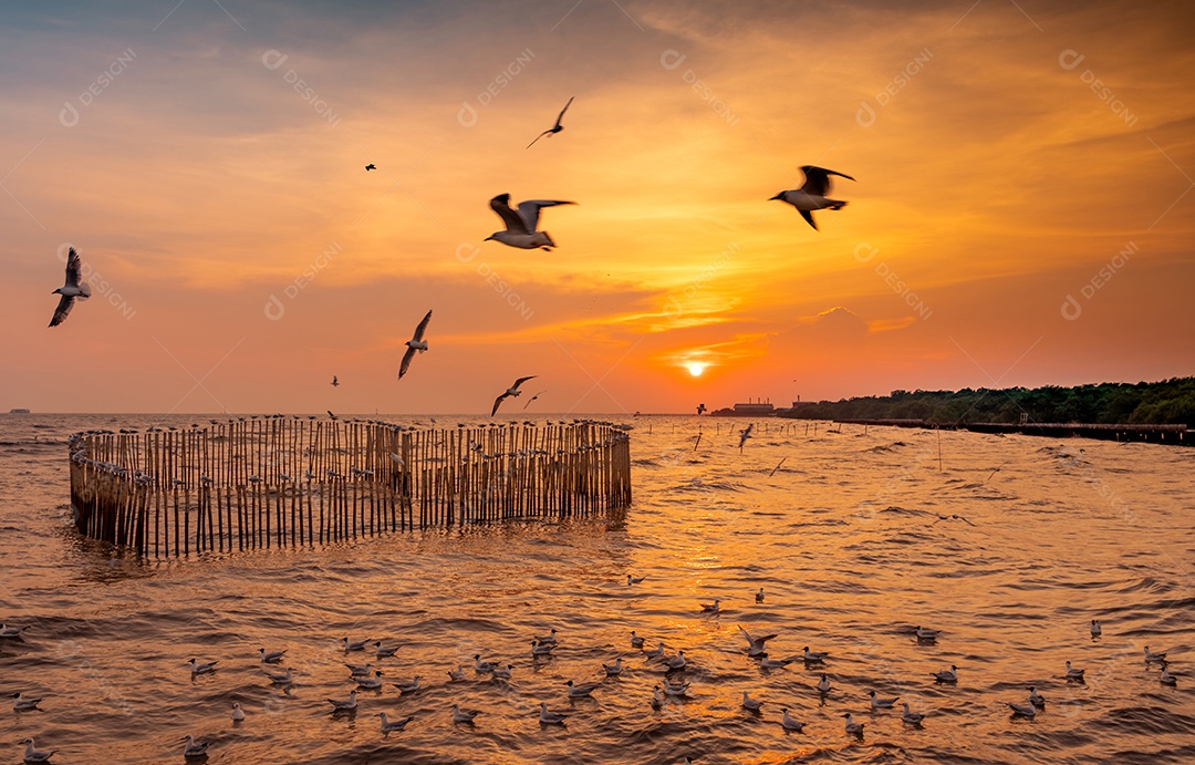 Lindo céu pôr do sol e nuvens sobre o mar. Pássaro voando
