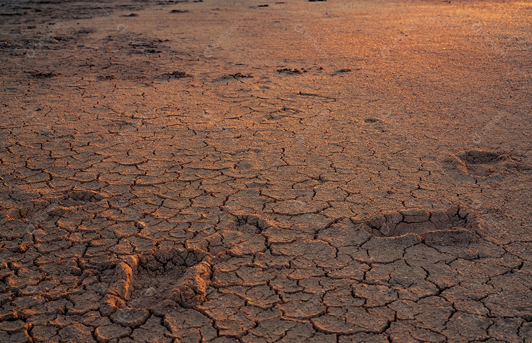 Mudanças climáticas e terras secas. Crise de água. Clima árido.