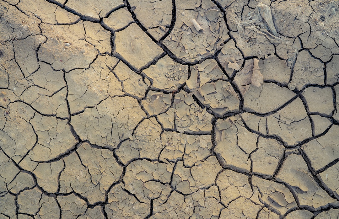 Mudanças climáticas e terras secas. Crise de água. Clima árido.