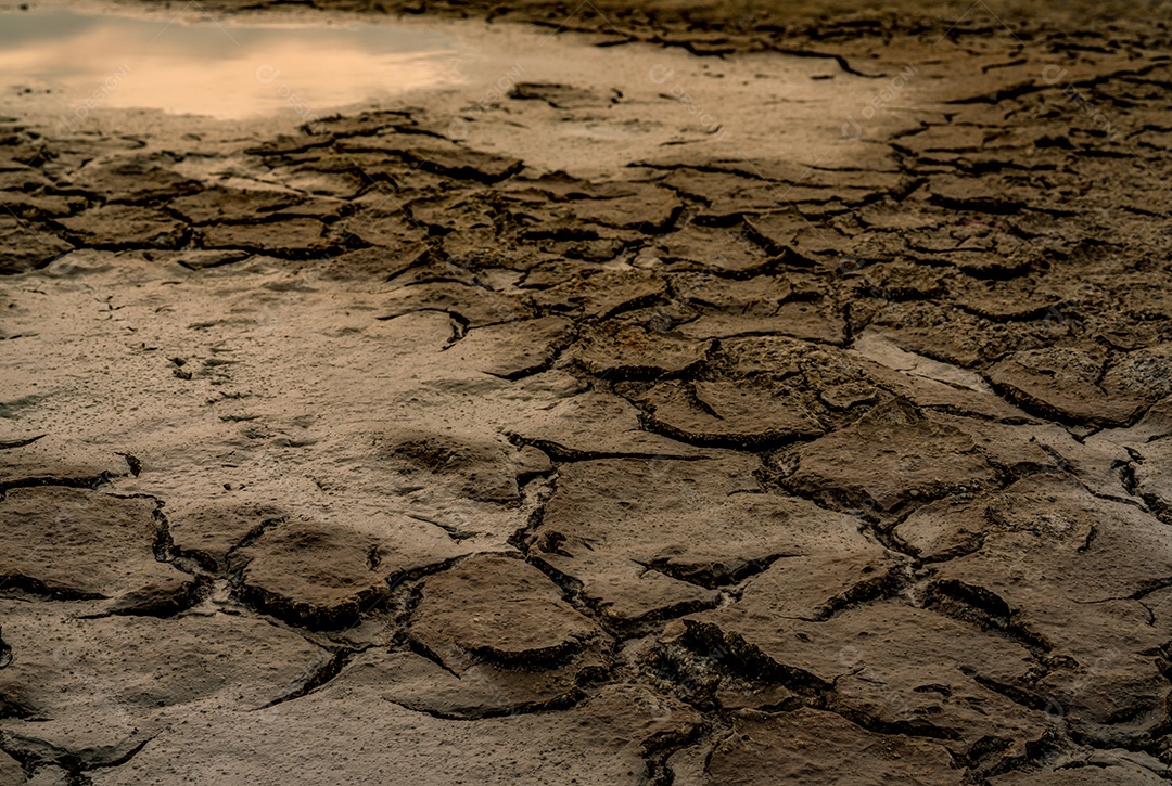 Mudanças climáticas e terras secas. Crise de água. Clima árido.