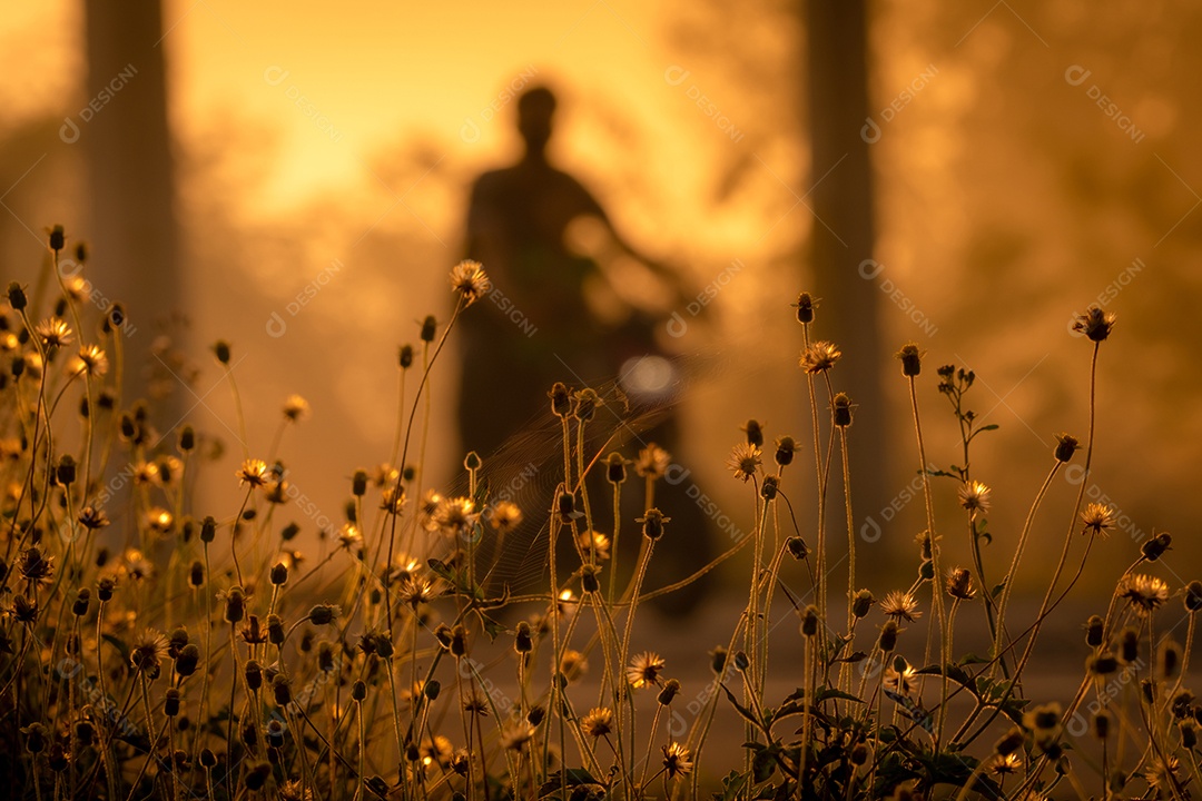 Flor de grama ao lado da estrada em fundo desfocado de pessoas livradas