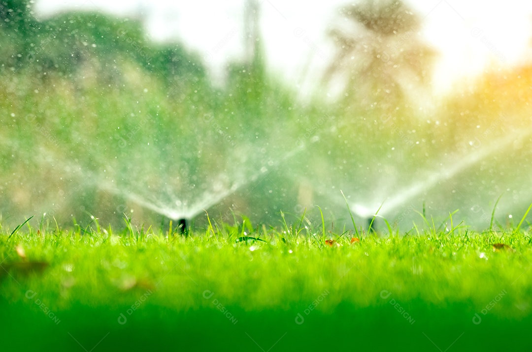 Aspersor de gramado automático regando grama verde.