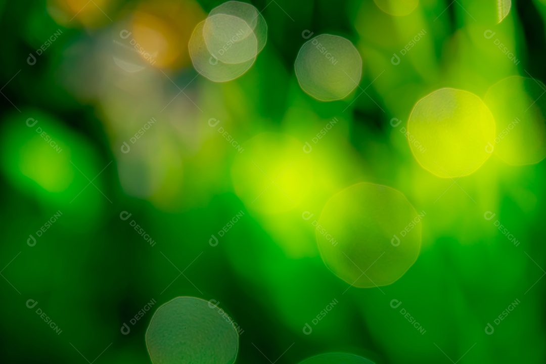 Campo de grama verde fresco turva no início da manhã.