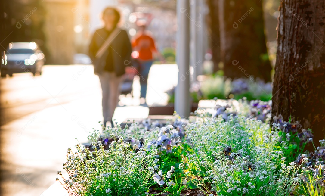 Flores da primavera ao lado da rua na cidade em pessoas borradas