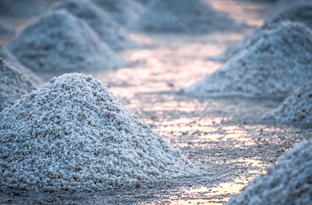 Fazenda de sal marinho na Tailândia. Sal marinho orgânico.
