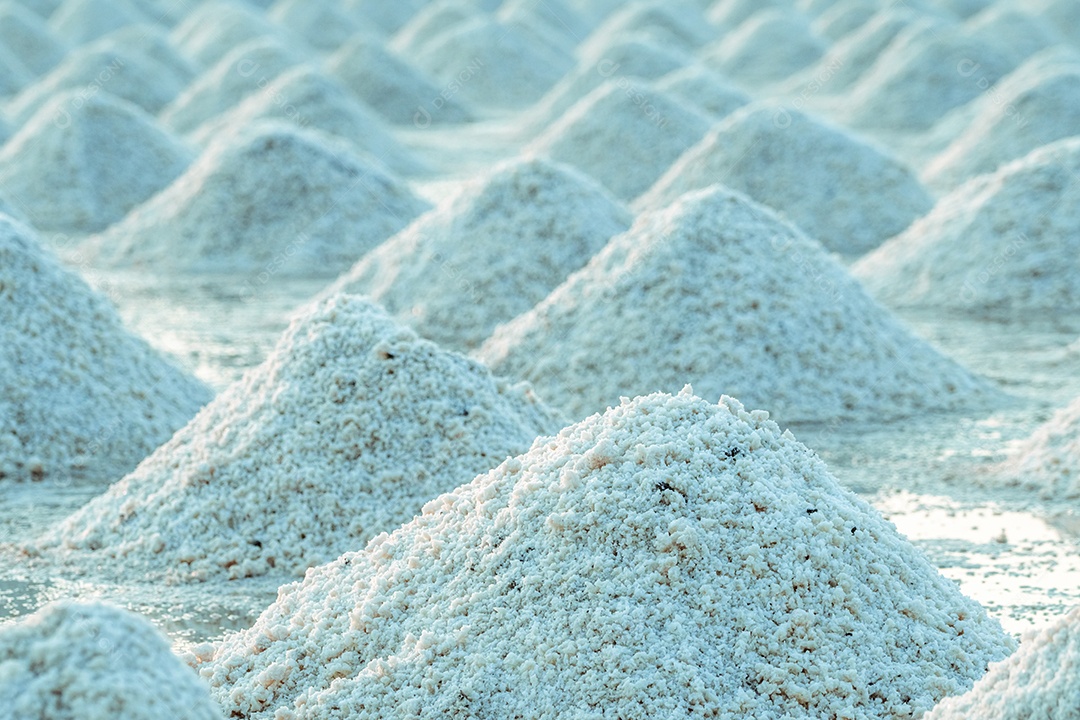 Fazenda de sal marinho na Tailândia. Sal marinho orgânico.