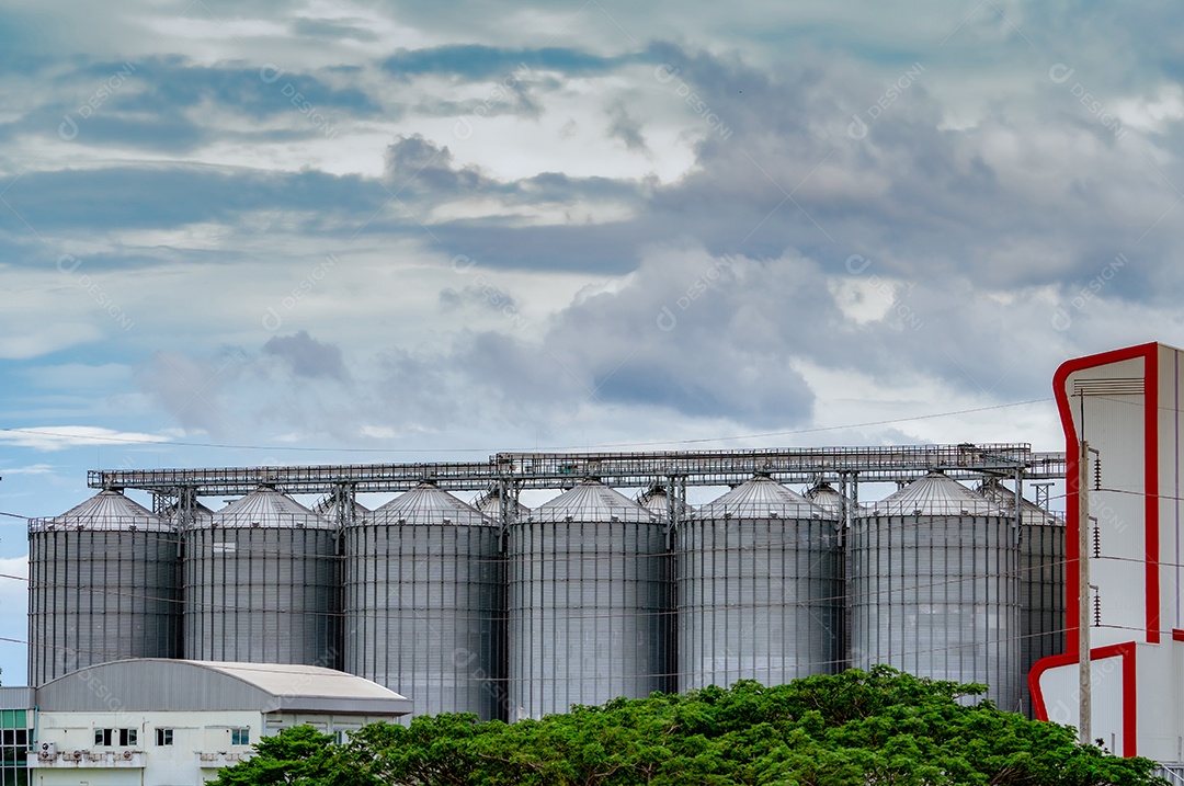 Silo agrícola na fábrica de ração. Tanque grande para armazenamento de grãos