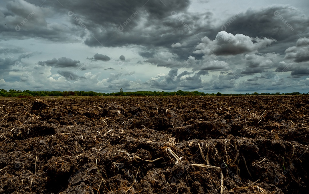 Campo arado da agricultura. Campo arado de solo preto com céu tempestuoso