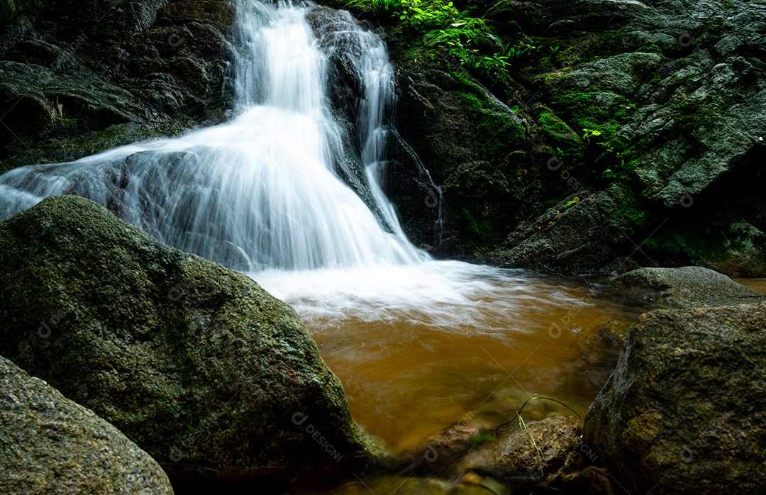 Bela cachoeira na selva. Cachoeira na floresta tropical