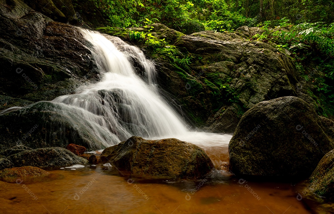 Bela cachoeira na selva. Cachoeira na floresta tropical