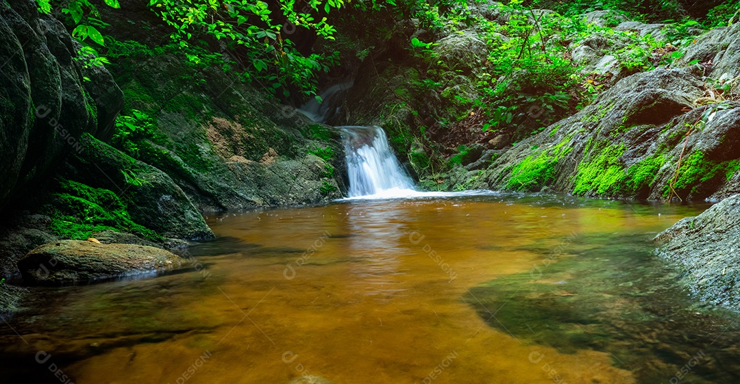 Foco seletivo verde musgo na superfície da rocha em pequena cachoeira