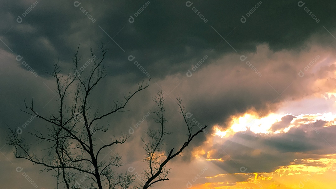 Silhueta árvore morta no céu nublado dourado com raio de sol. Raio de Sol