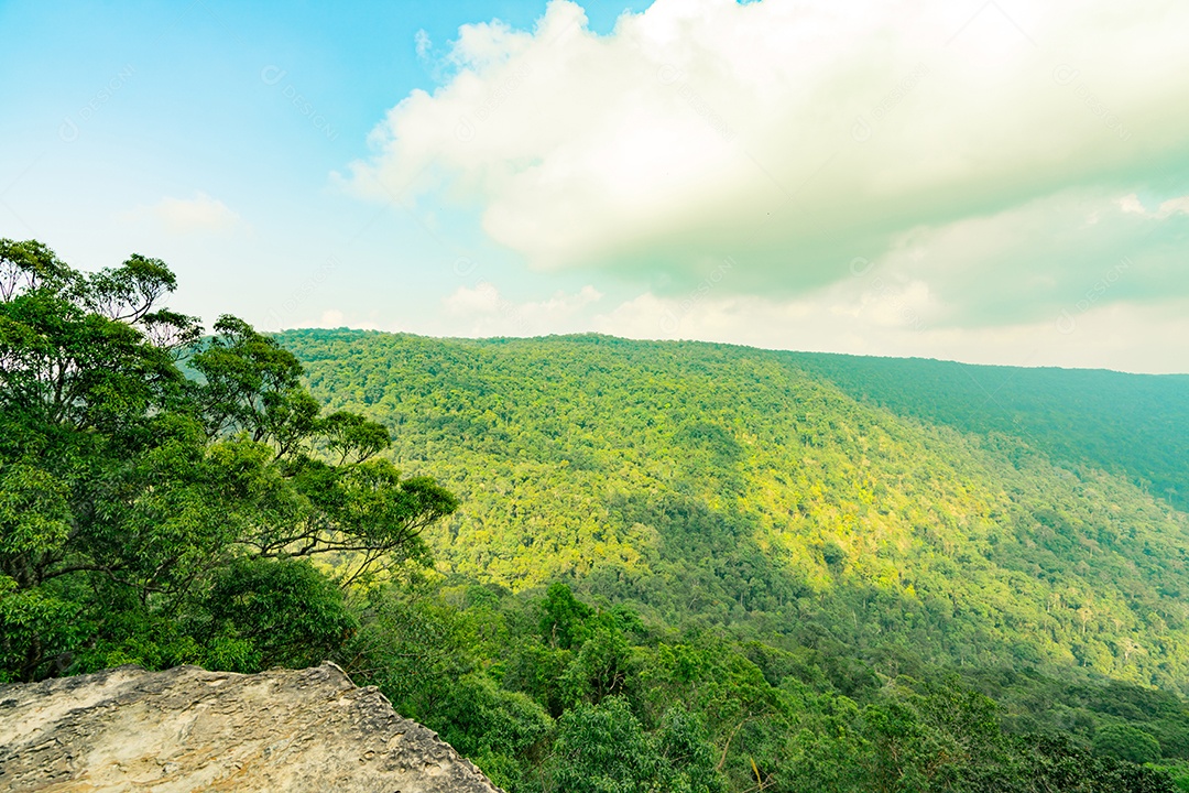 Bela vista da floresta tropical nas falésias de Pha Diao Dai