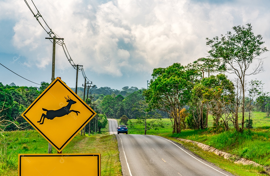 Cuidado ! sinal de cruzamento de vida selvagem ao lado da estrada de asfalto perto de pequeno