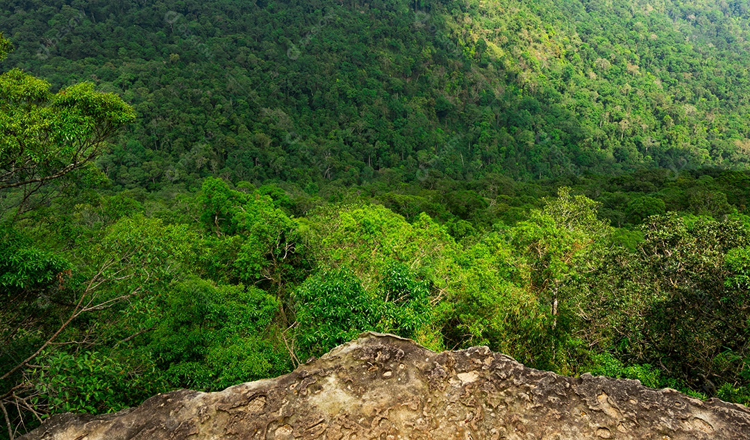 Bela vista do pico do penhasco na montanha em floresta tropical