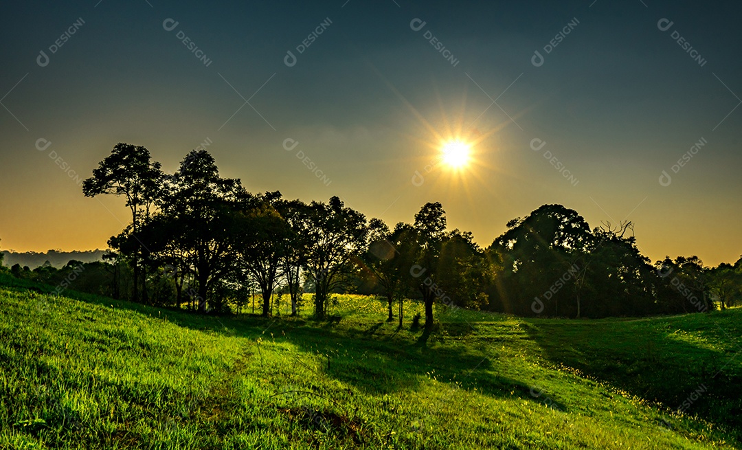 Paisagem do belo pôr do sol no parque com árvores e verde