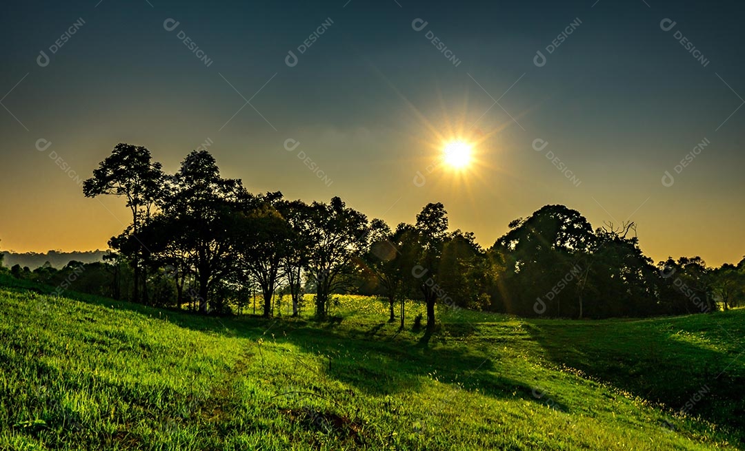 Paisagem do belo pôr do sol no parque com árvores e verde