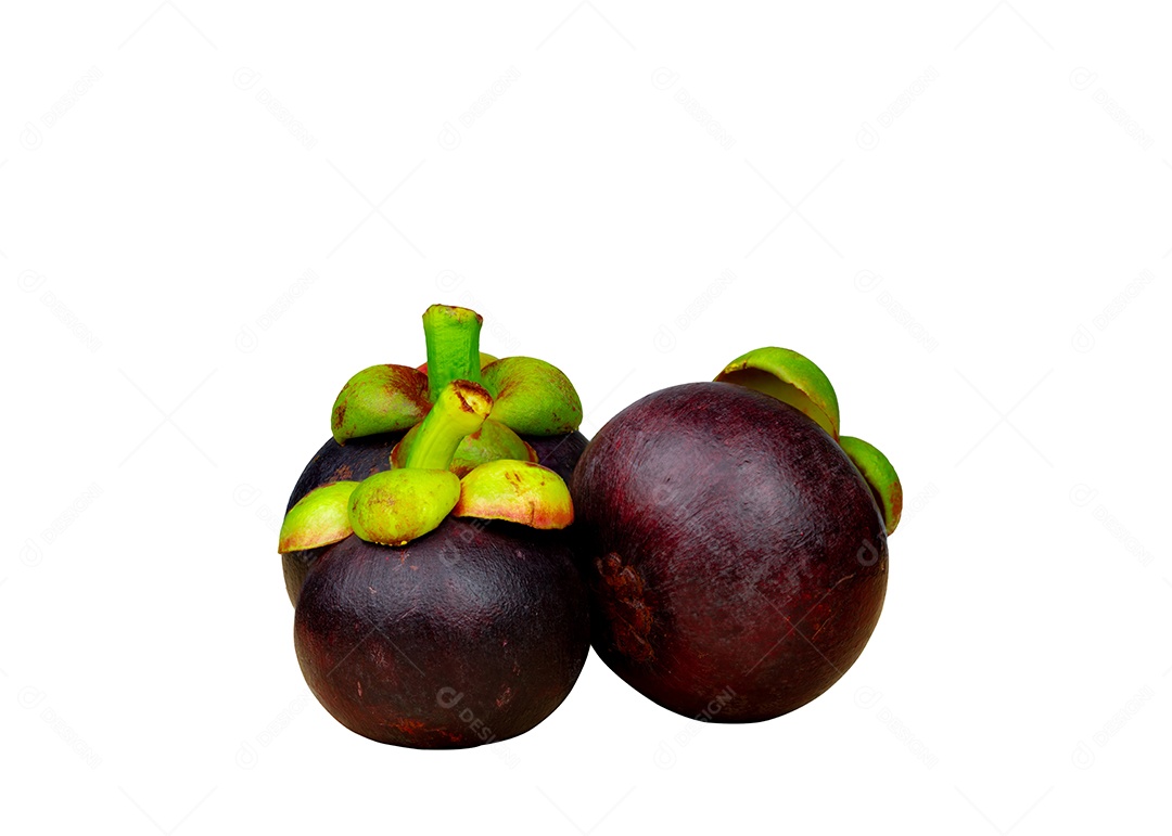 Mangostão inteiro mostrando a pele roxa isolada no fundo branco
