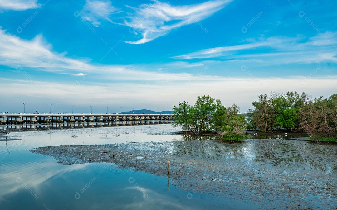 Floresta de mangue, ponte de concreto e lindo céu azul e nuvem