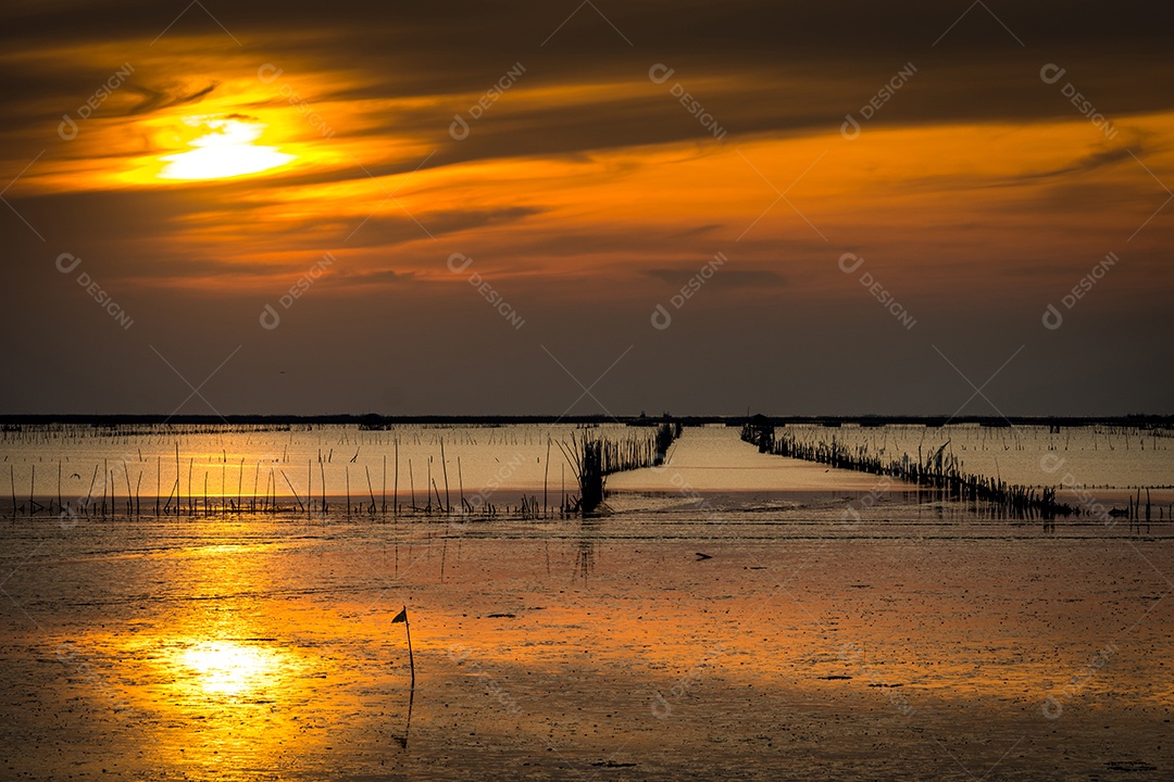 Beira-mar com baixo nível de água, fazenda de conchas com bambu seco