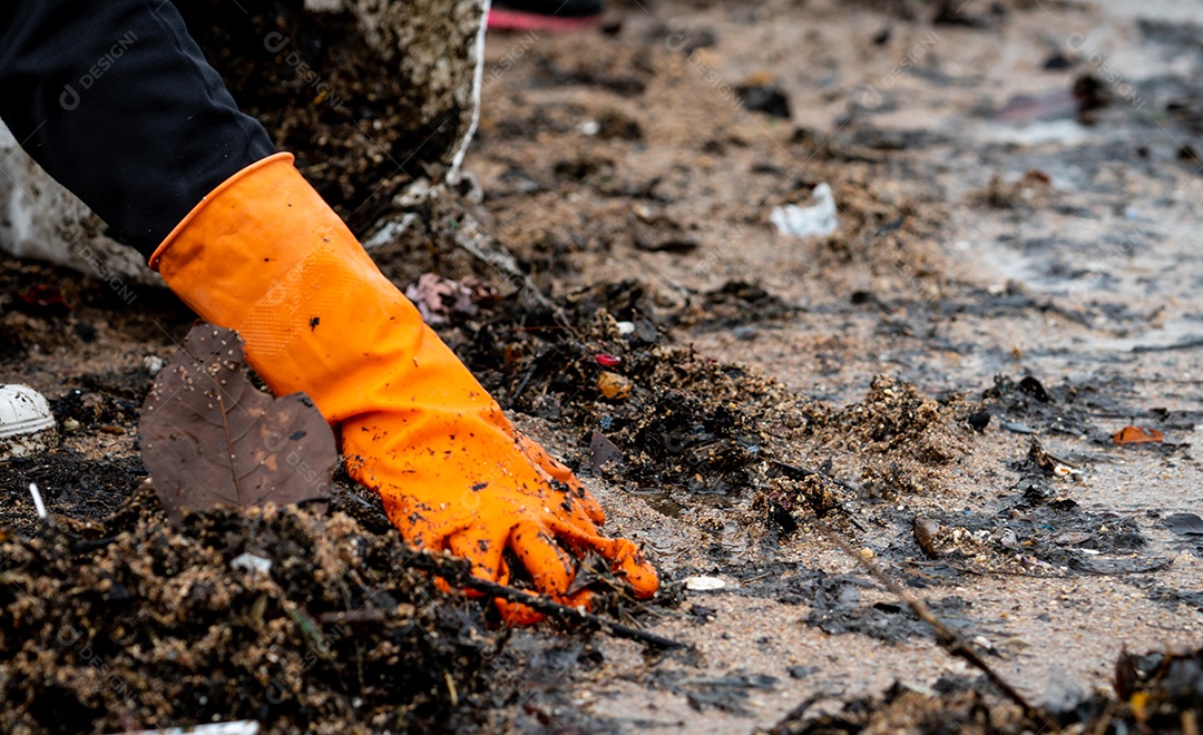 Voluntários recolhendo lixo. Poluição do ambiente de praia.