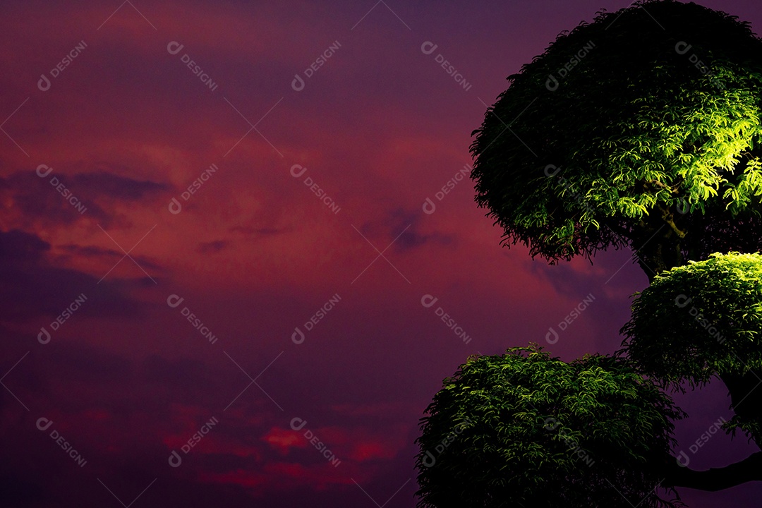 Lindo céu roxo e nuvens escuras com arbusto aparado