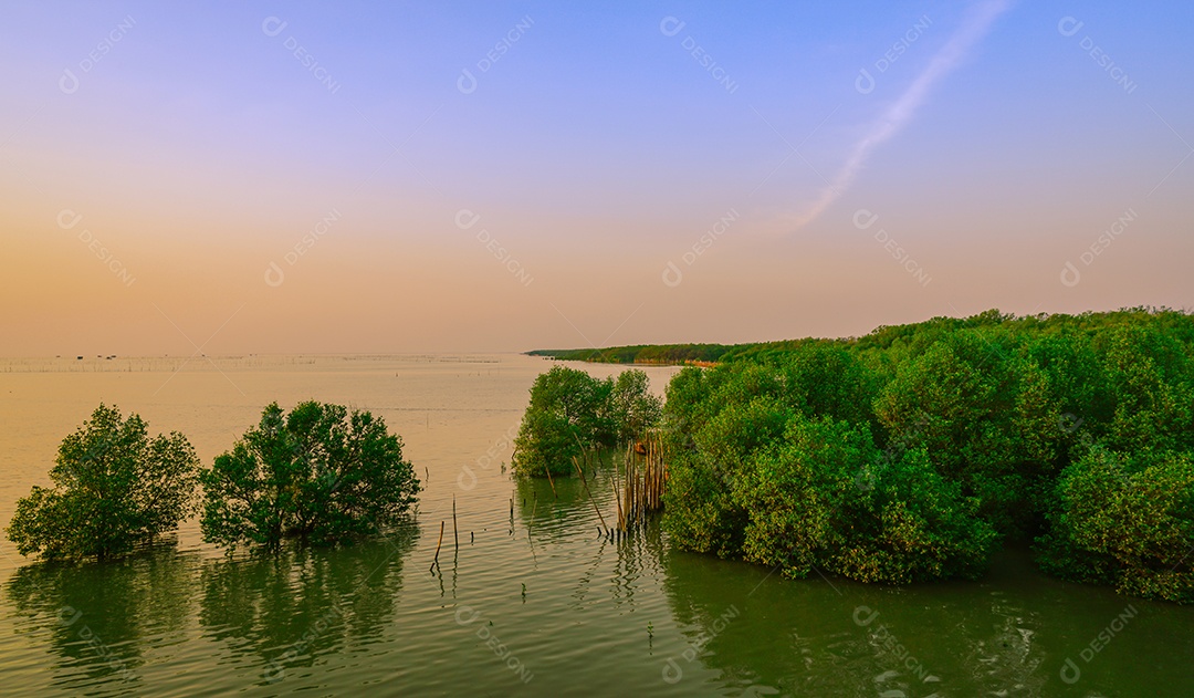 Lindo céu e nuvens na floresta de mangue. Mar tropical